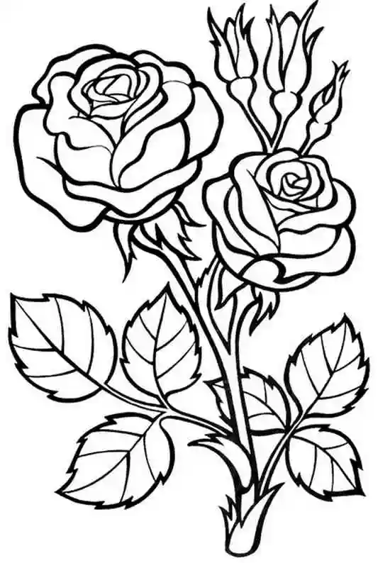 Раскраска Веточка розы