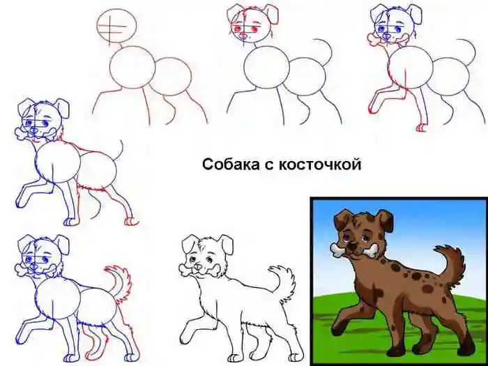 Как нарисовать собаку с косточкой