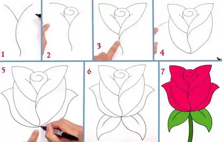 Простой способ нарисовать розу