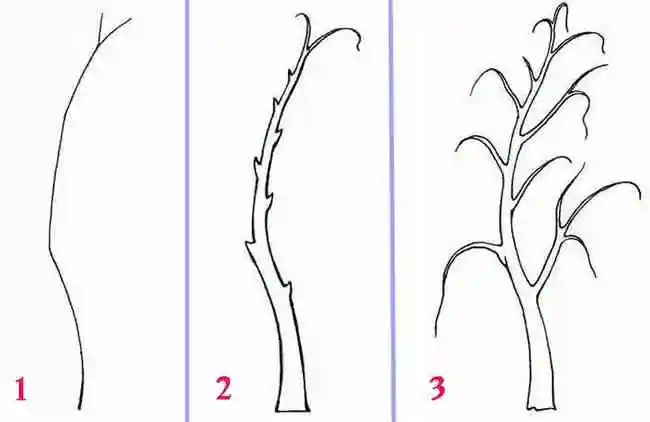 Как нарисовать ствол дерева поэтапно