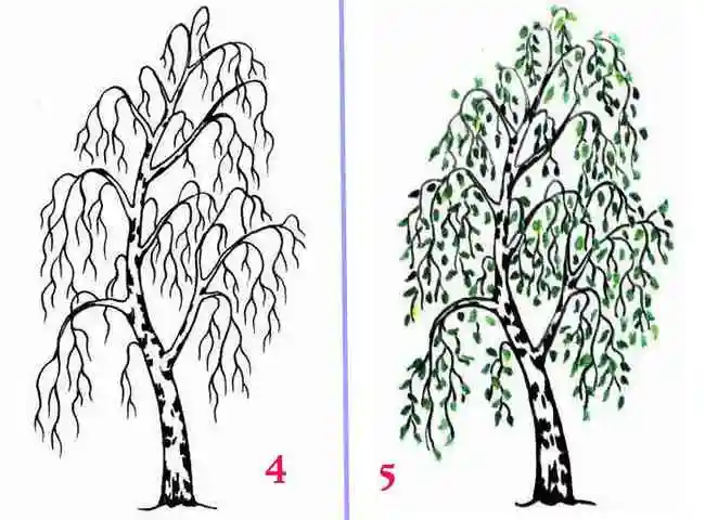 Рисуем берёзу самостоятельно, рисуем листья и разукрашиваем берёзу