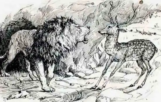 Олень и лев