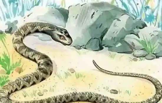 Крестьянин и змея