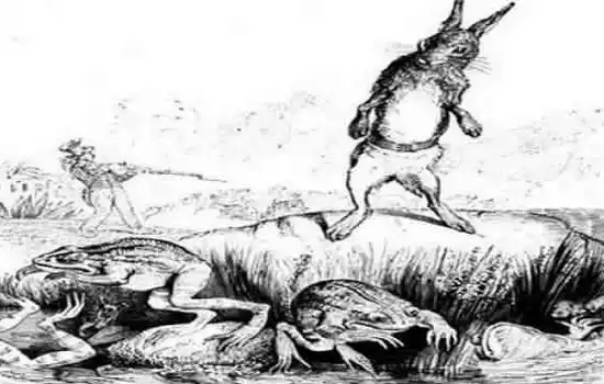 Заяц и лягушки