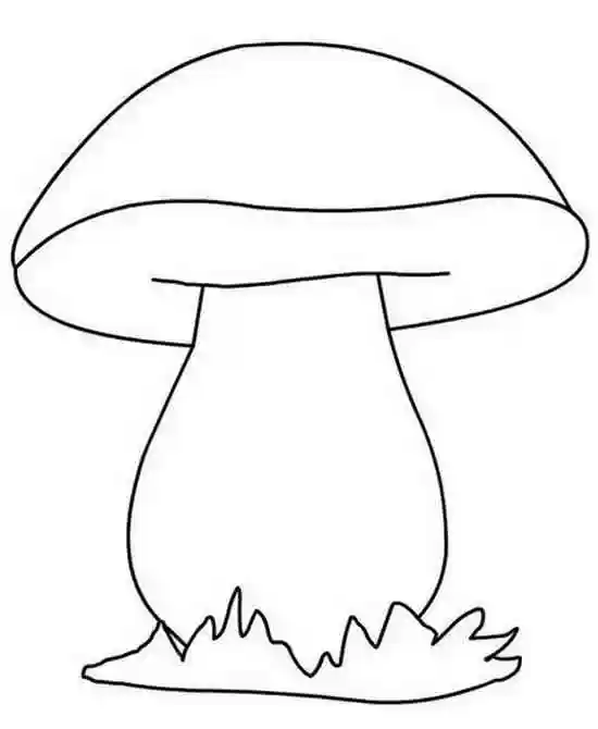 Раскраски для малышей, Белый гриб