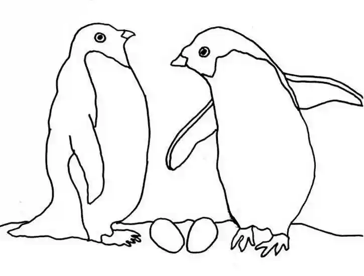 Раскраска Пингвины