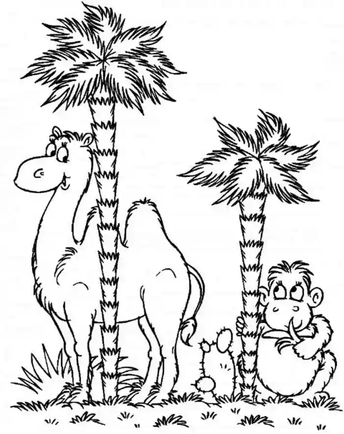 Раскраска Верблюд с обезьянкой у пальмы