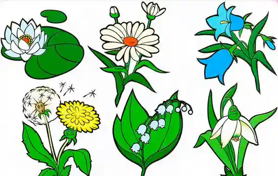 Растения раскраски для детей