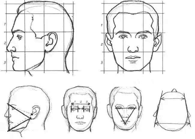 Внимательно изучите характерные формы головы человека перед рисованием
