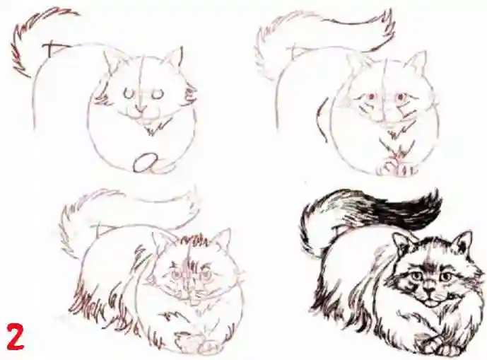 Рисуем игривого кота поэтапно, прорисовываем детали
