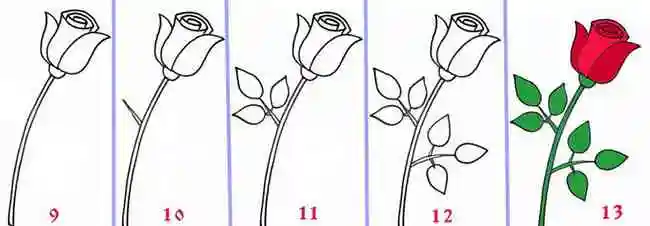 Инструкция как нарисовать розу поэтапно, рисуем стебель и листья розы