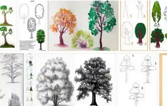 Как нарисовать дерево – первый рисунок своими руками