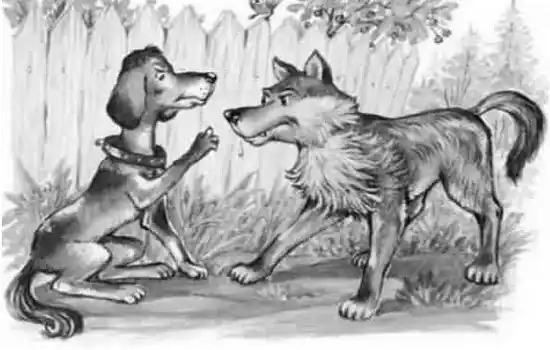 Собака и Волк