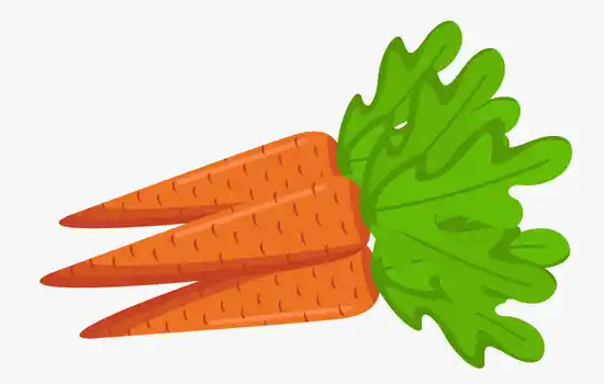 Загадки про морковь