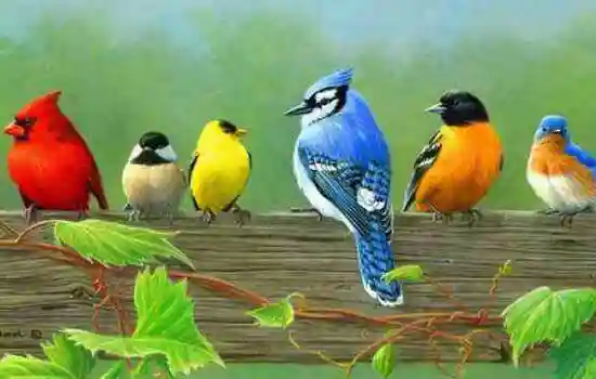 Кроссворд на тему птицы с ответами